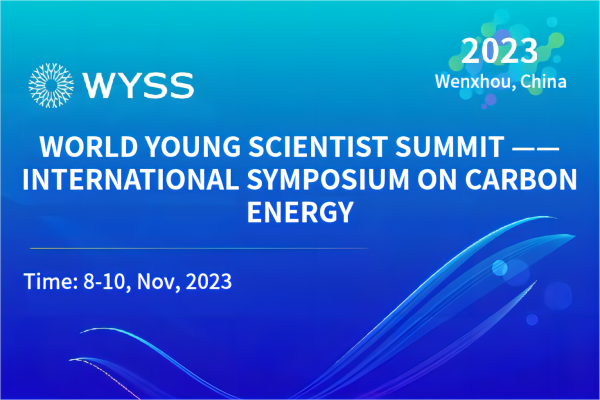 2023世界青年科学家峰会——碳能源国际学术研讨会